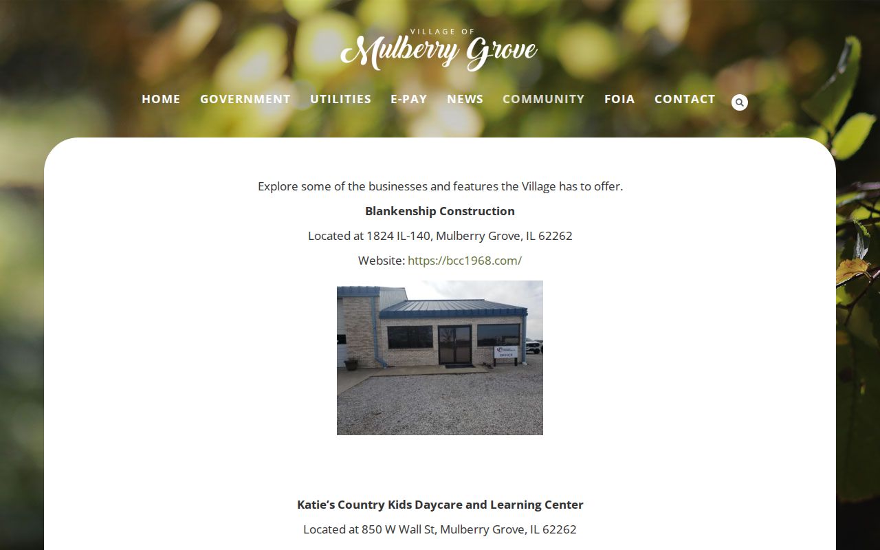 Mulberry Grove criminal records and official community locations